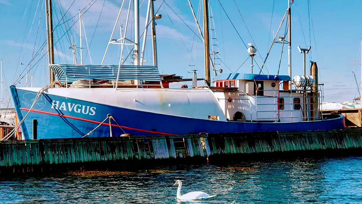 Saunaen hos Havgus